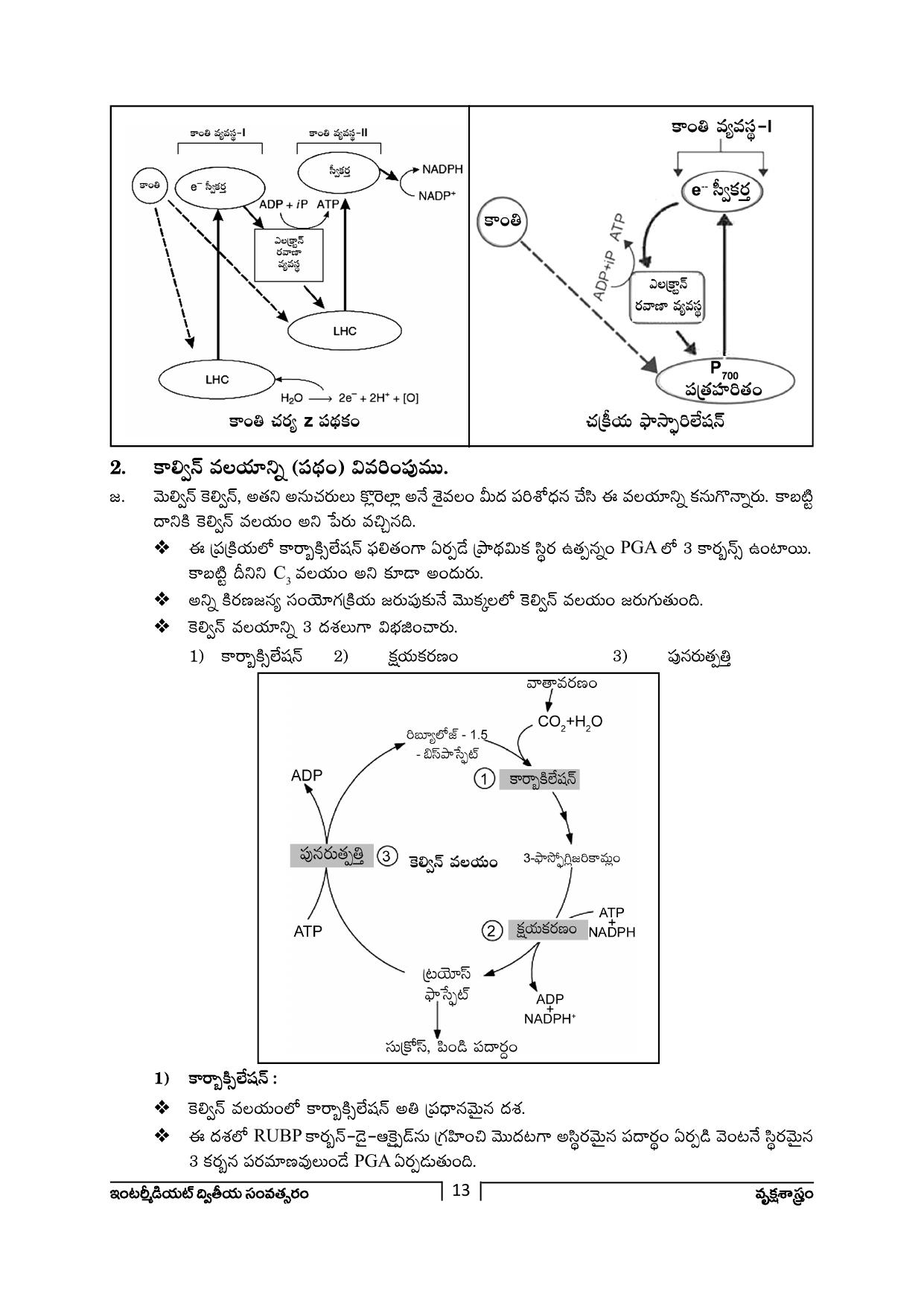 TS SCERT Inter 2nd Year Botany Path 1 (Telugu Medium) Text Book - Page 14