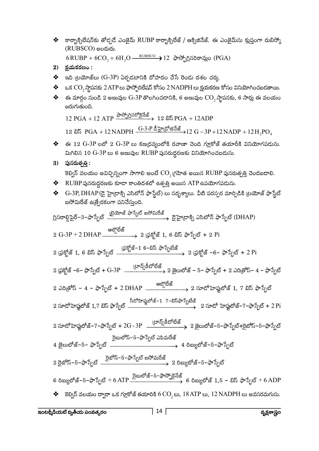 TS SCERT Inter 2nd Year Botany Path 1 (Telugu Medium) Text Book - Page 15