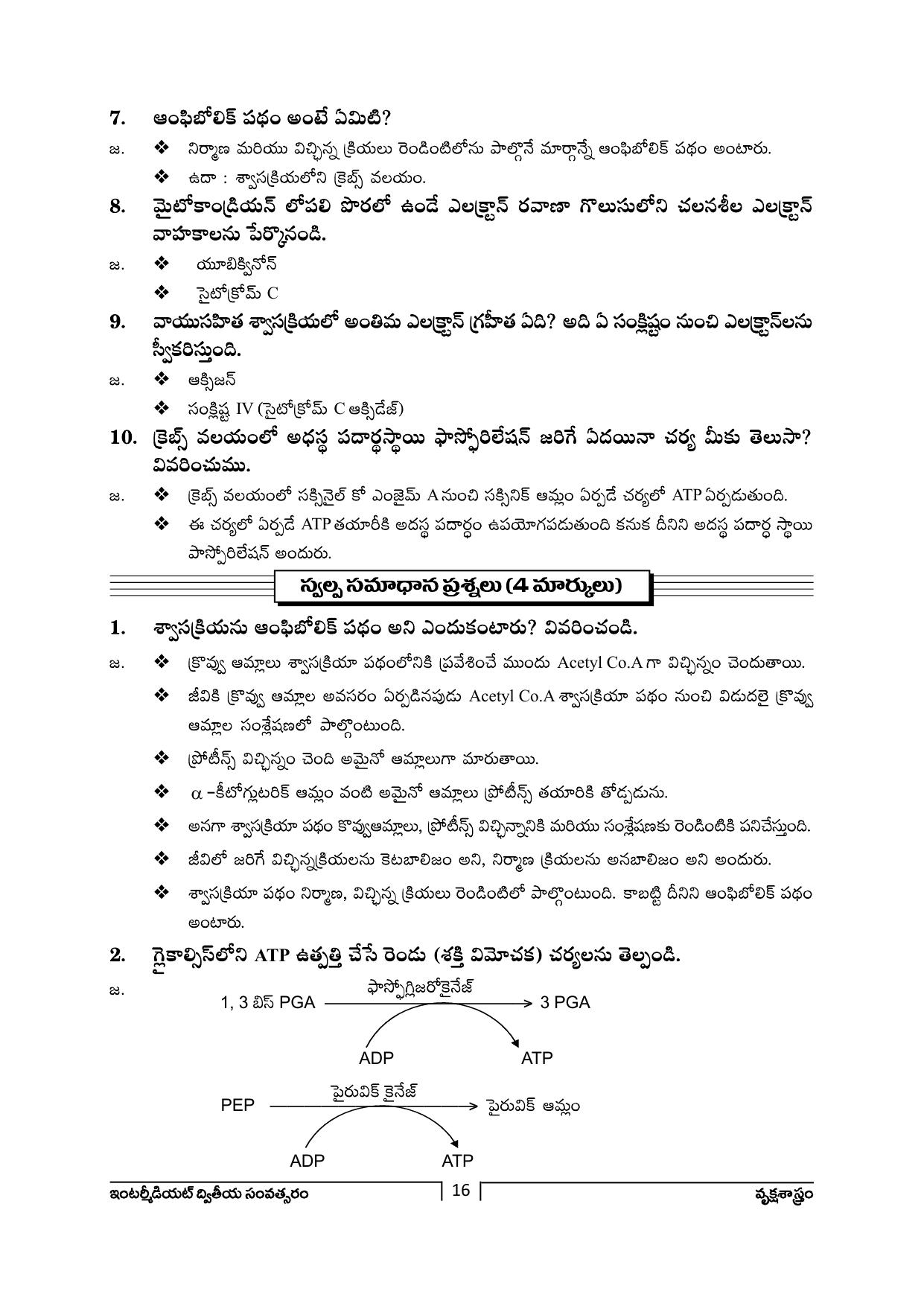TS SCERT Inter 2nd Year Botany Path 1 (Telugu Medium) Text Book - Page 17