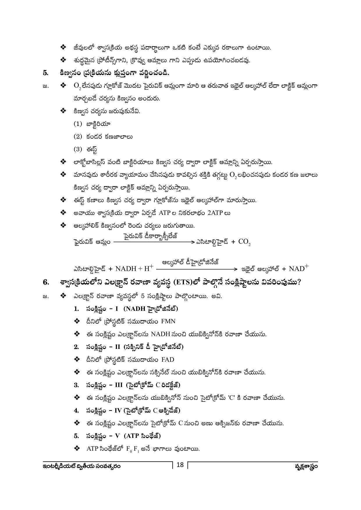 TS SCERT Inter 2nd Year Botany Path 1 (Telugu Medium) Text Book - Page 19
