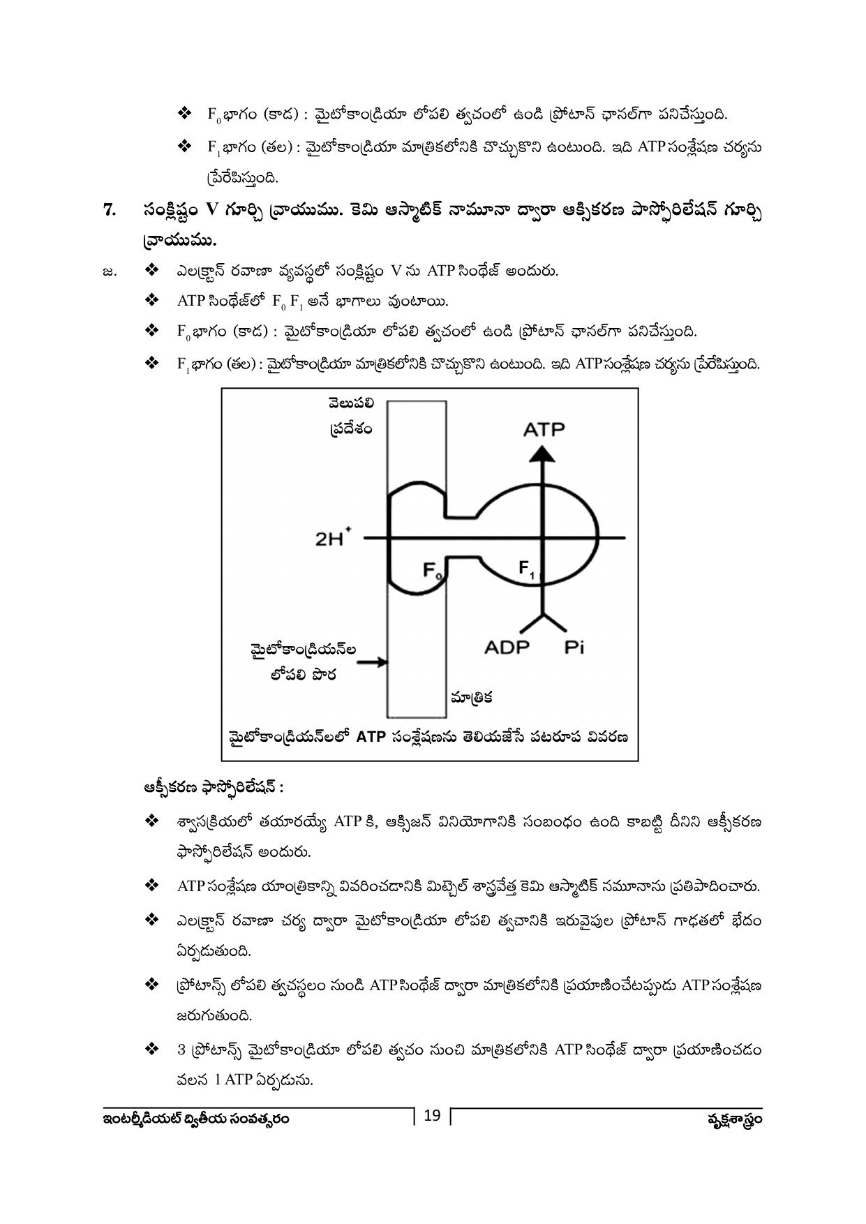 TS SCERT Inter 2nd Year Botany Path 1 (Telugu Medium) Text Book - Page 20