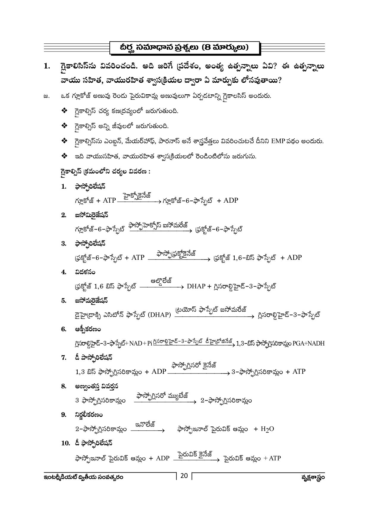 TS SCERT Inter 2nd Year Botany Path 1 (Telugu Medium) Text Book - Page 21