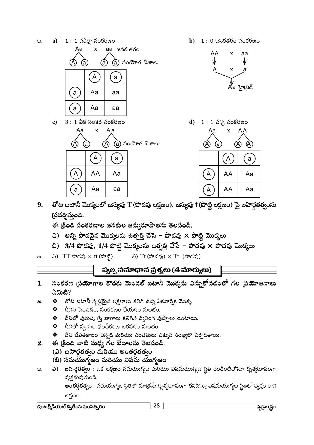TS SCERT Inter 2nd Year Botany Path 1 (Telugu Medium) Text Book - Page 29