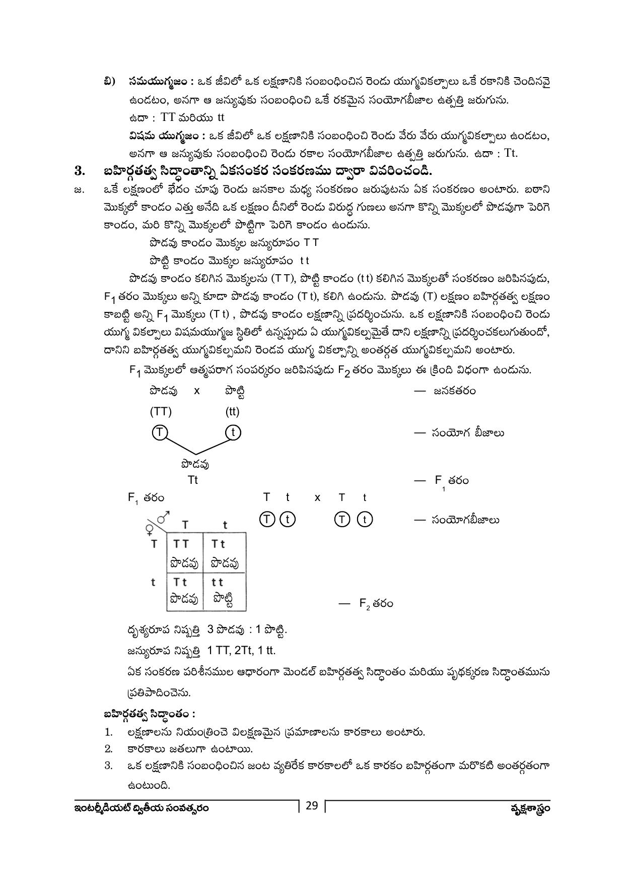 TS SCERT Inter 2nd Year Botany Path 1 (Telugu Medium) Text Book - Page 30