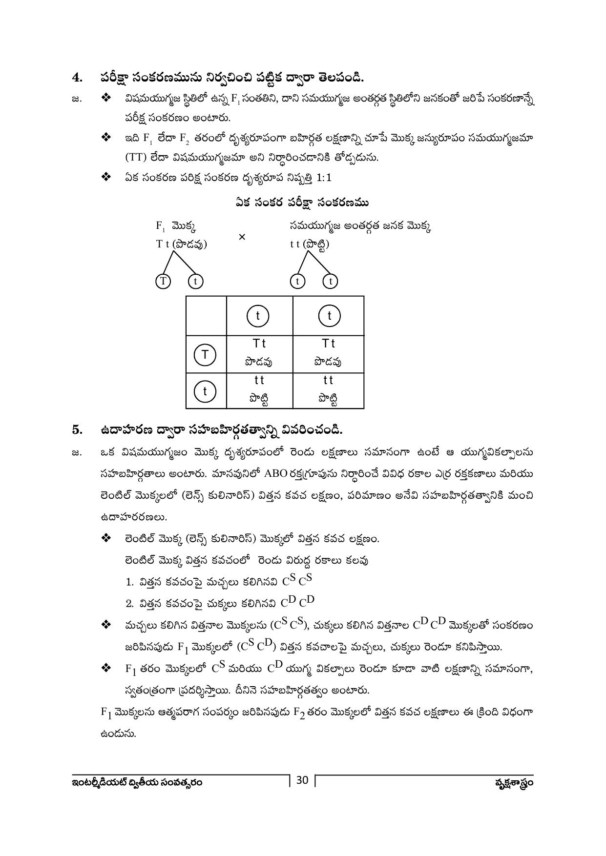 TS SCERT Inter 2nd Year Botany Path 1 (Telugu Medium) Text Book - Page 31