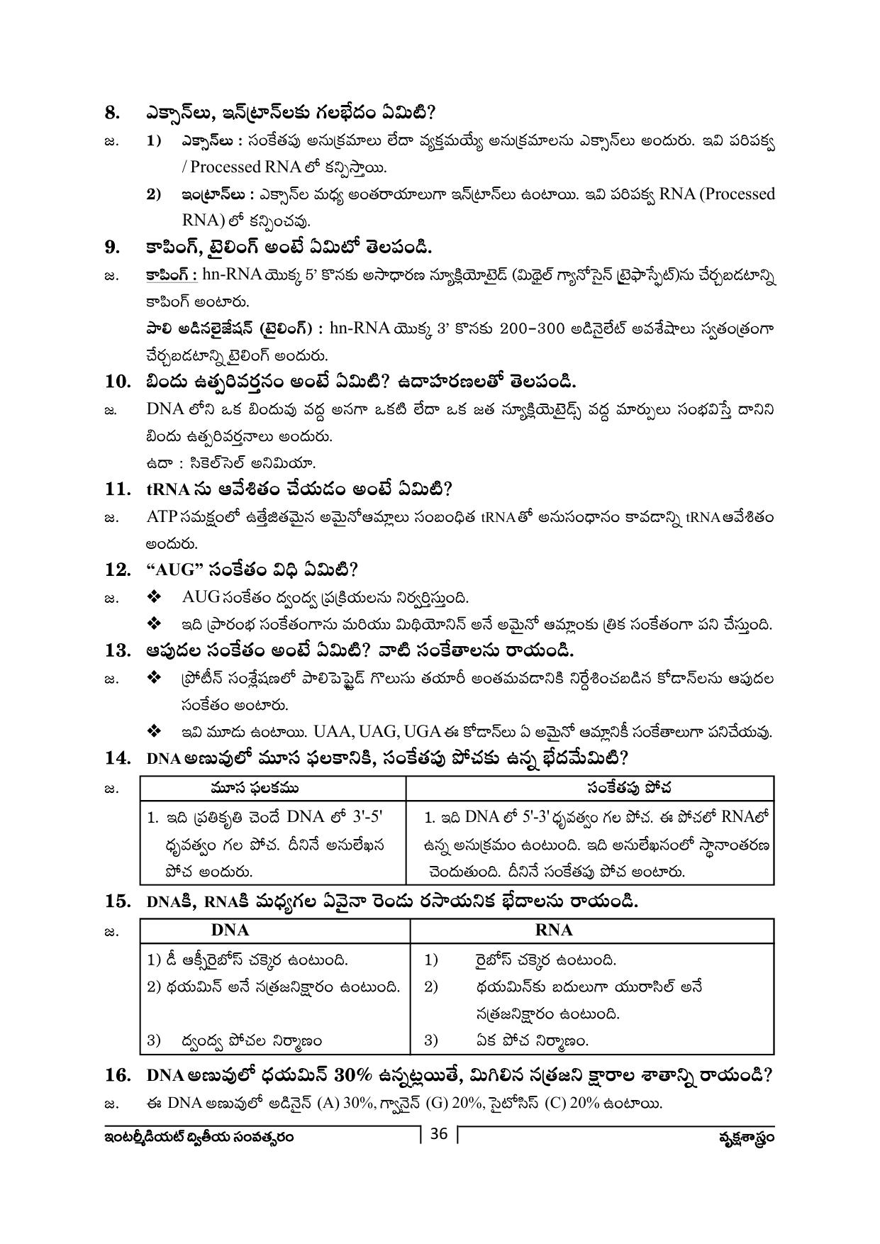 TS SCERT Inter 2nd Year Botany Path 1 (Telugu Medium) Text Book - Page 37