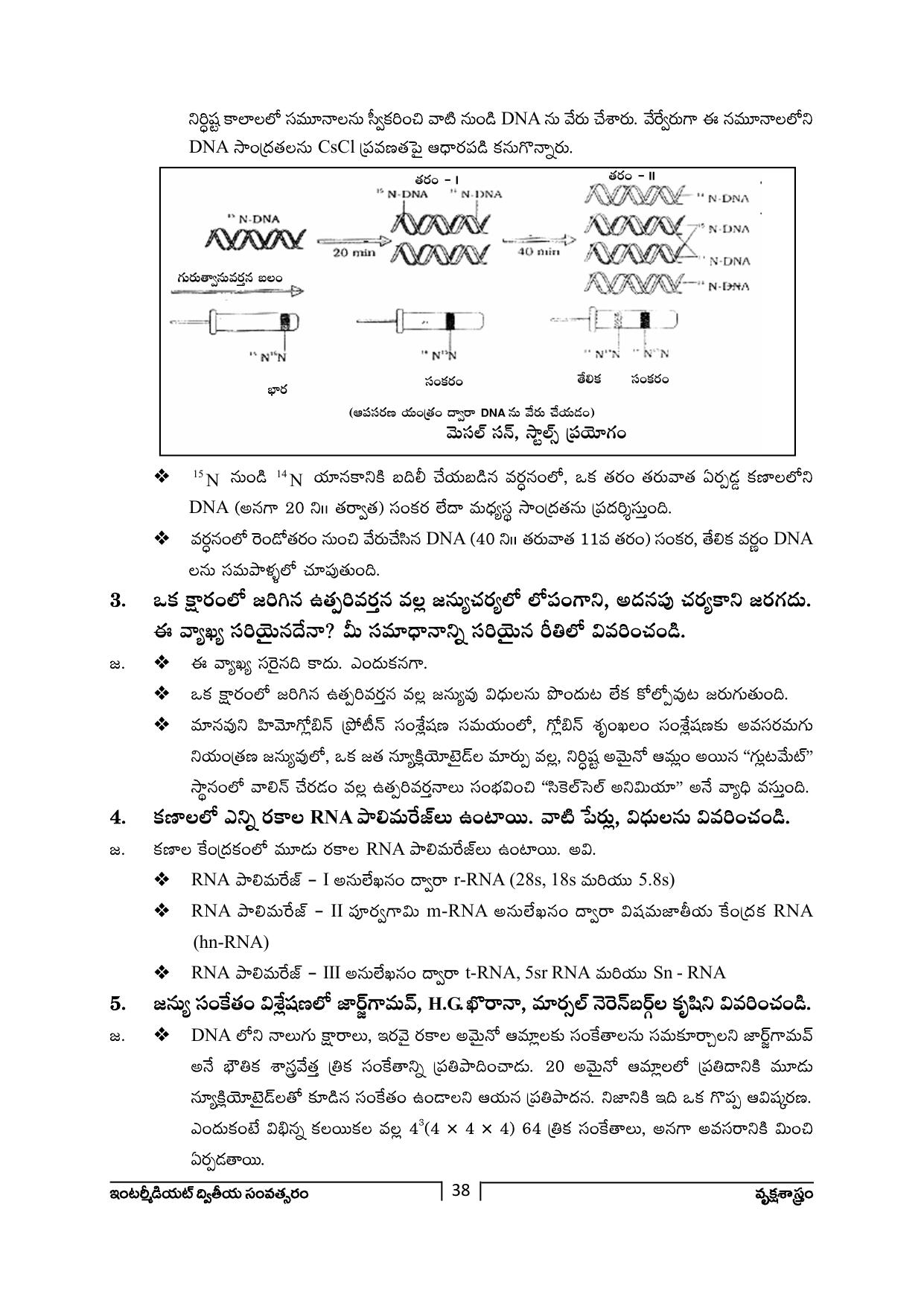 TS SCERT Inter 2nd Year Botany Path 1 (Telugu Medium) Text Book - Page 39