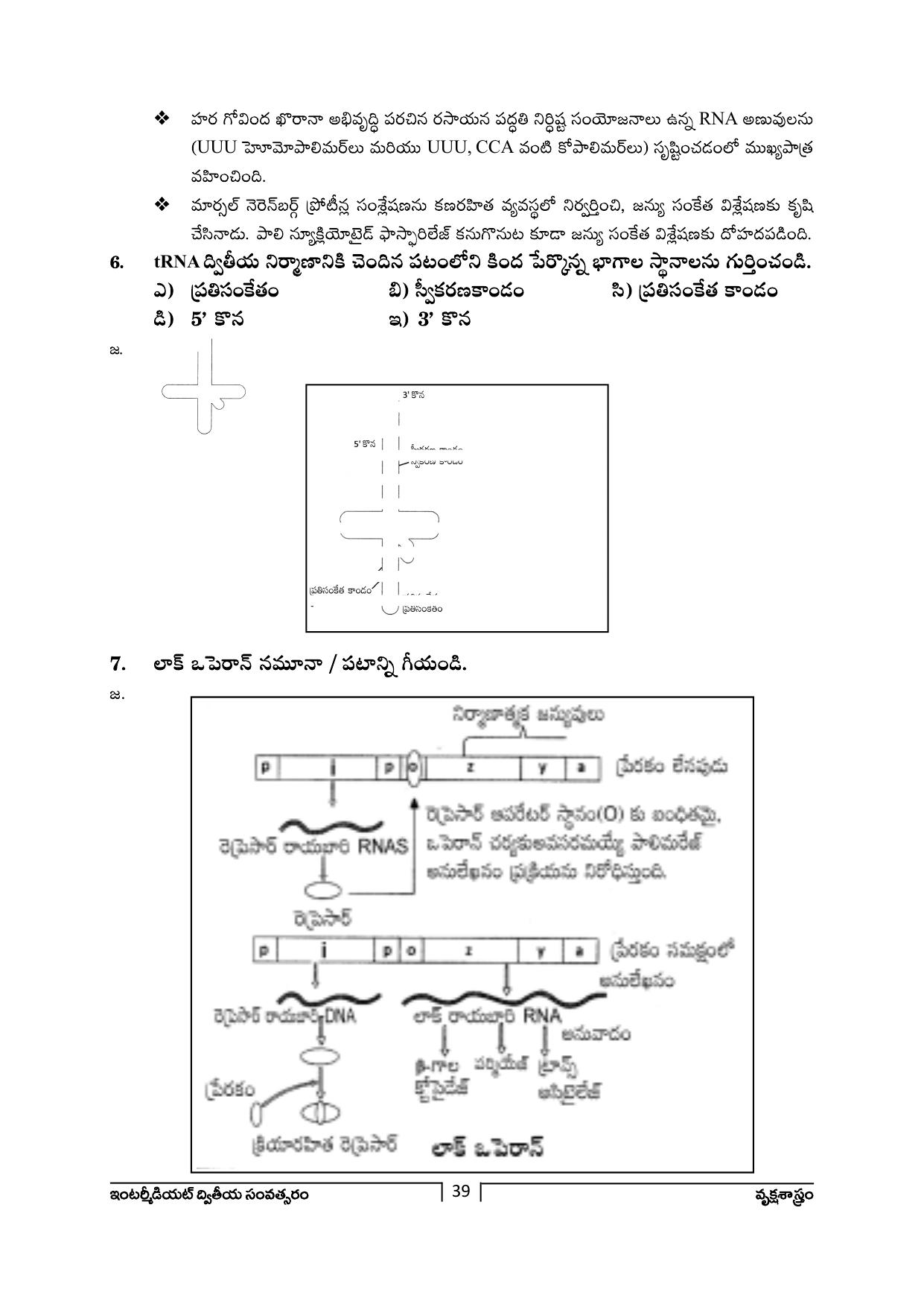 TS SCERT Inter 2nd Year Botany Path 1 (Telugu Medium) Text Book - Page 40