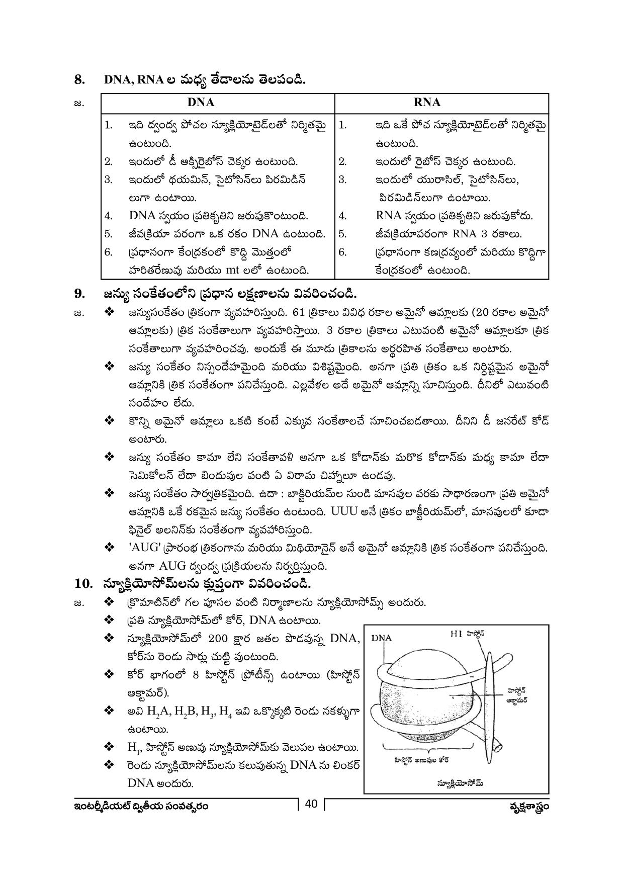 TS SCERT Inter 2nd Year Botany Path 1 (Telugu Medium) Text Book - Page 41