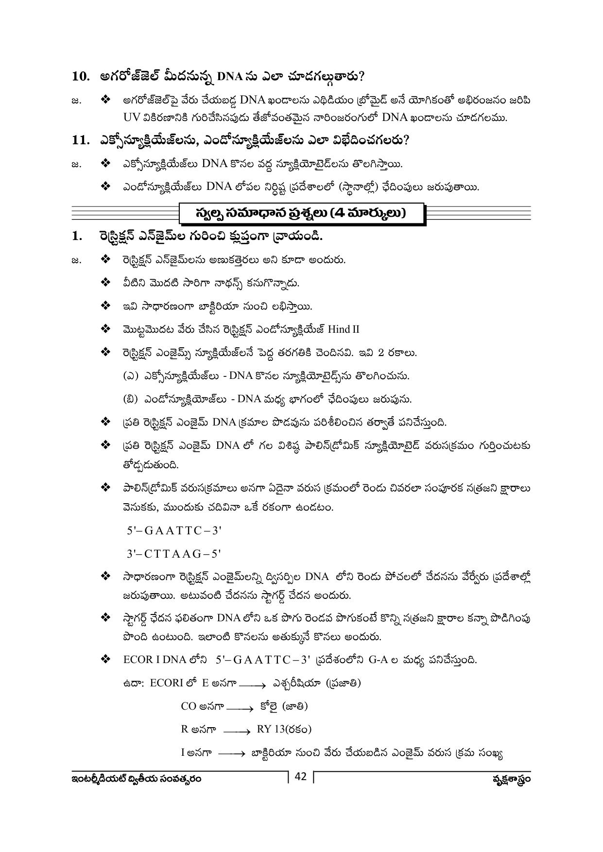 TS SCERT Inter 2nd Year Botany Path 1 (Telugu Medium) Text Book - Page 43