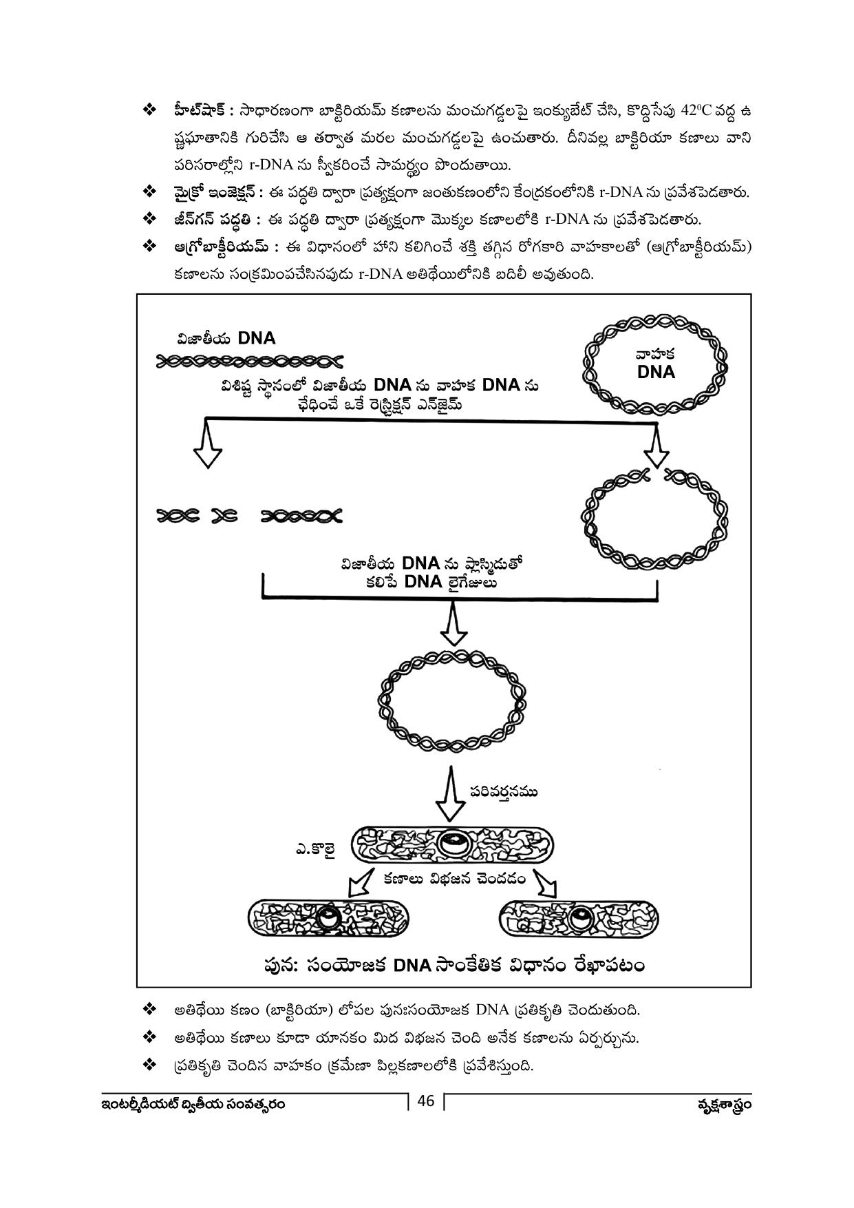 TS SCERT Inter 2nd Year Botany Path 1 (Telugu Medium) Text Book - Page 47
