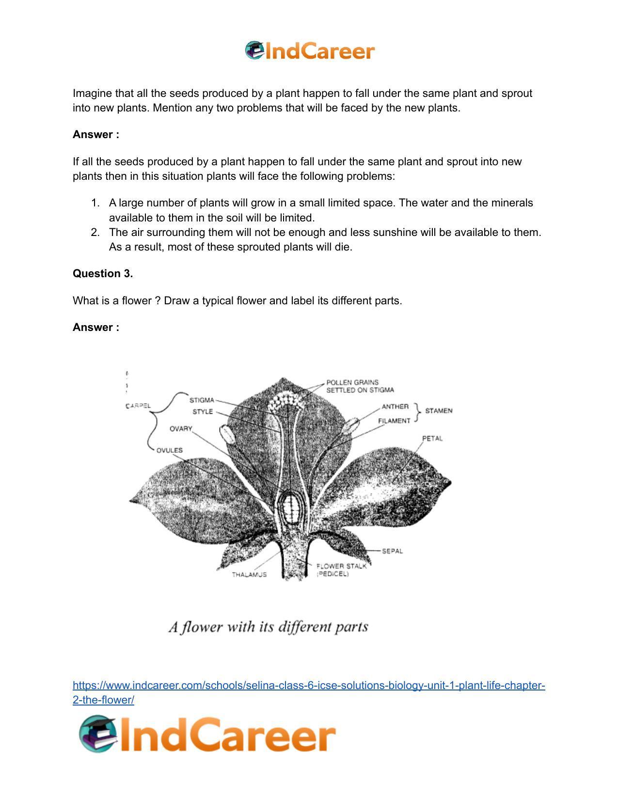 Selina Class 6 Icse Solutions Biology (unit 1) - Plant Life: Chapter 2 