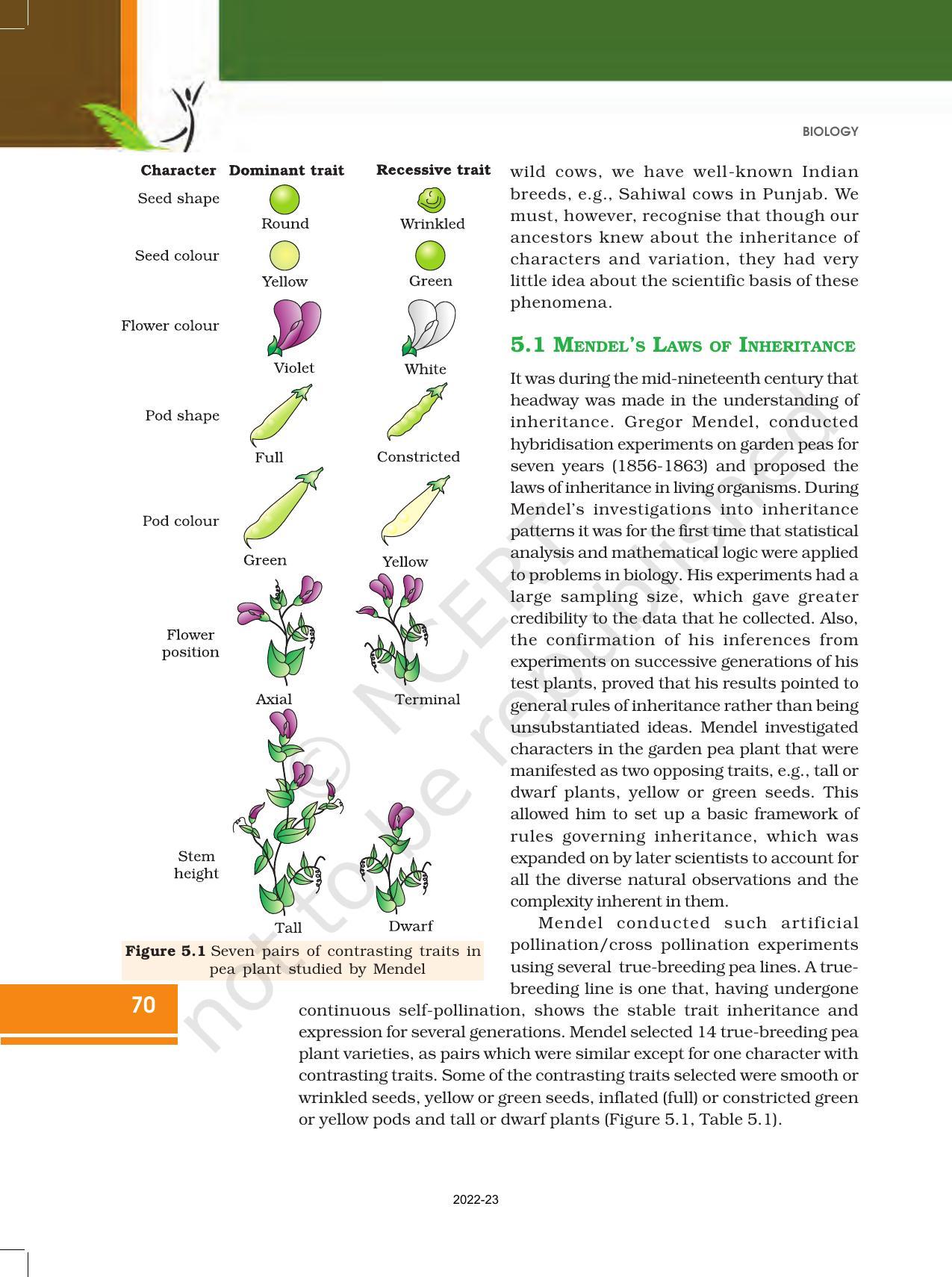 NCERT Book for Class 12 Biology Chapter 5 Principles of Inheritance and Variation - Page 4