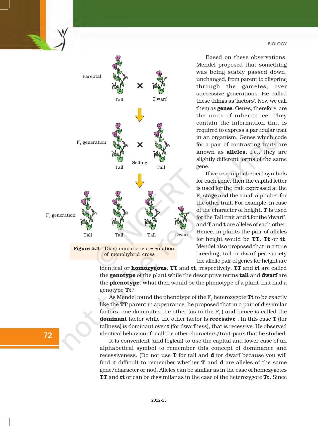 NCERT Book for Class 12 Biology Chapter 5 Principles of Inheritance and Variation - Page 6