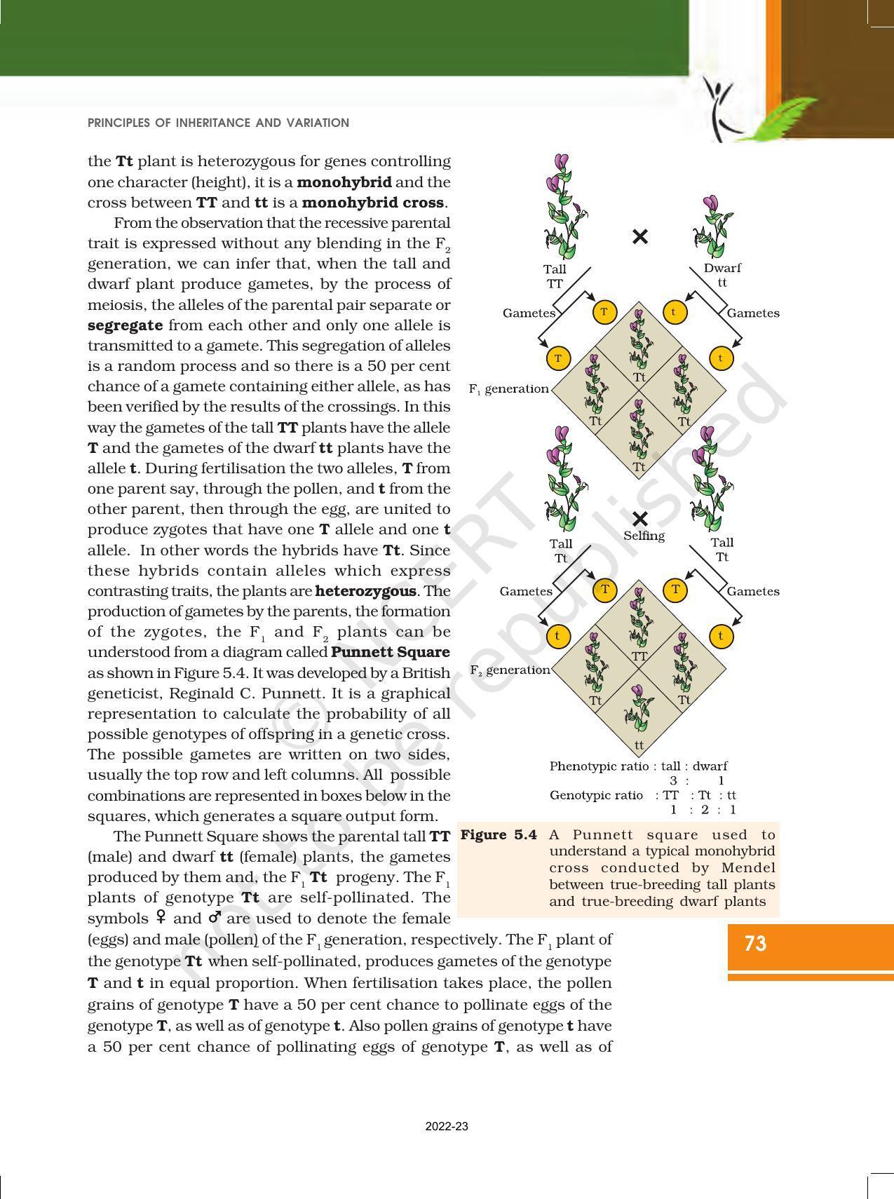 NCERT Book for Class 12 Biology Chapter 5 Principles of Inheritance and Variation - Page 7