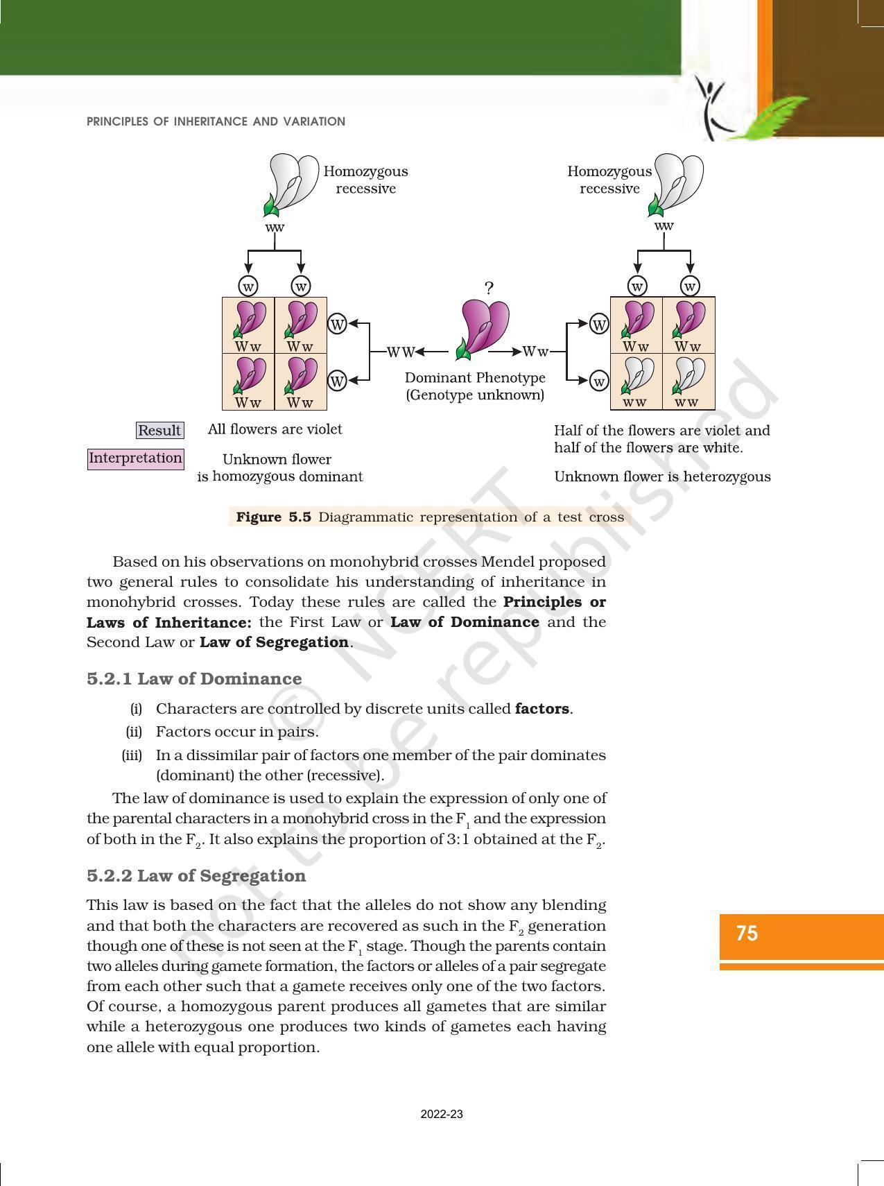 NCERT Book for Class 12 Biology Chapter 5 Principles of Inheritance and Variation - Page 9