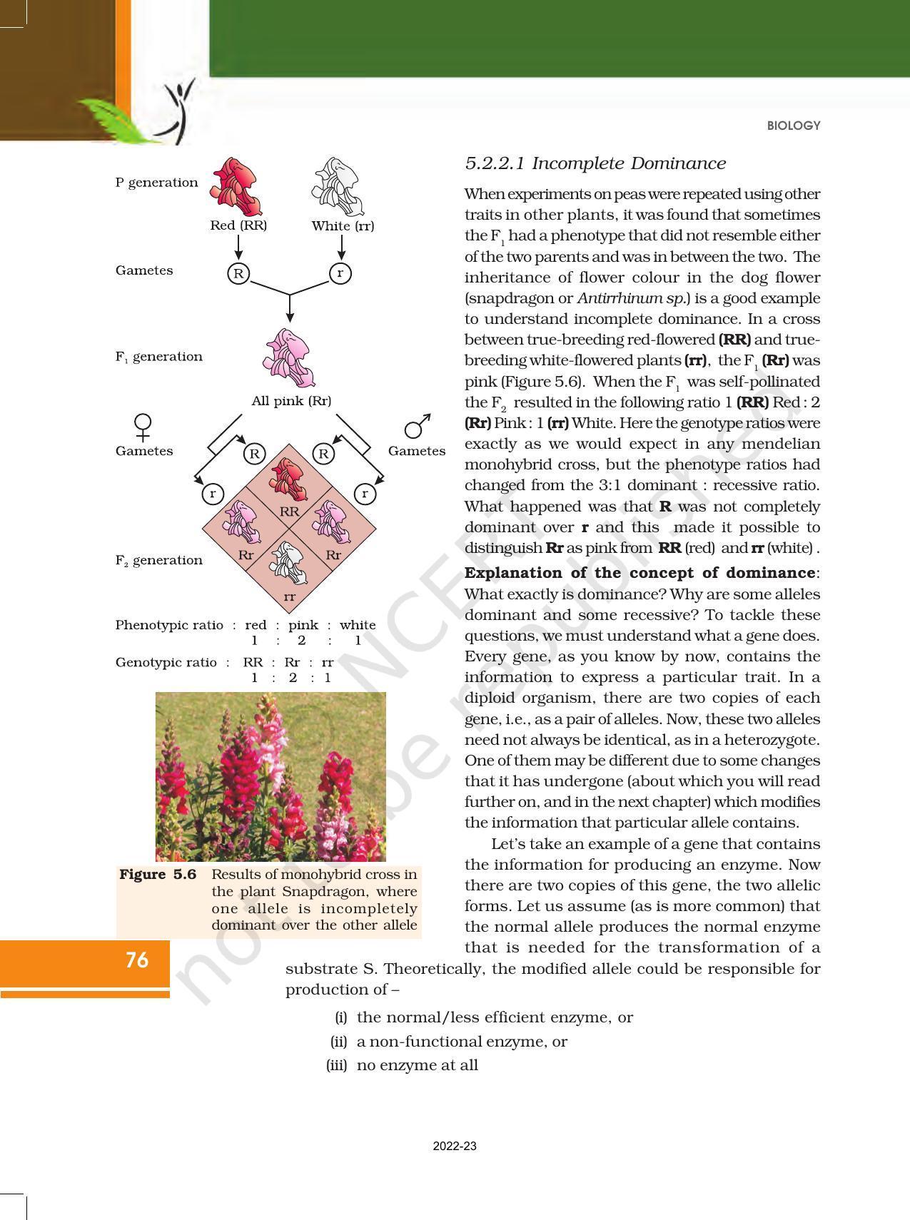 NCERT Book for Class 12 Biology Chapter 5 Principles of Inheritance and Variation - Page 10