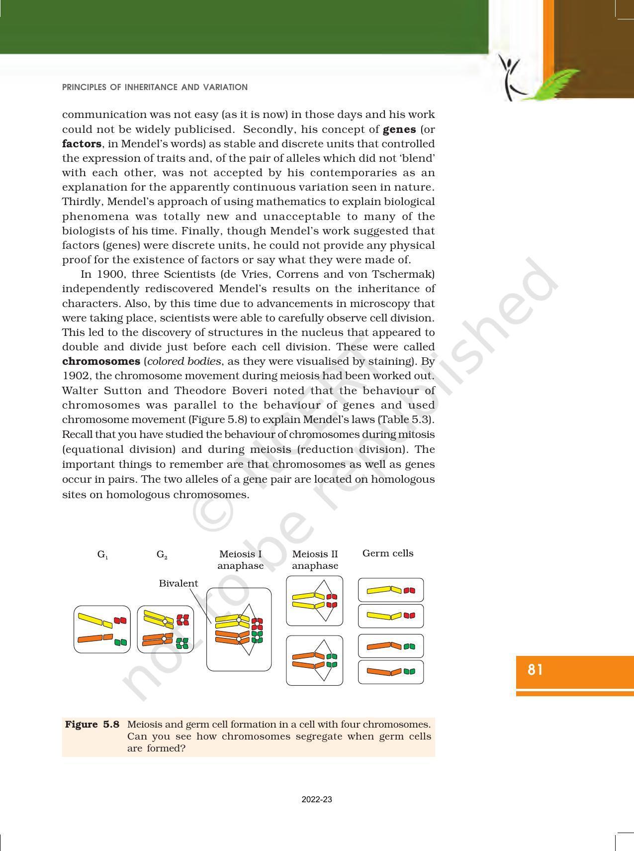 NCERT Book for Class 12 Biology Chapter 5 Principles of Inheritance and Variation - Page 15