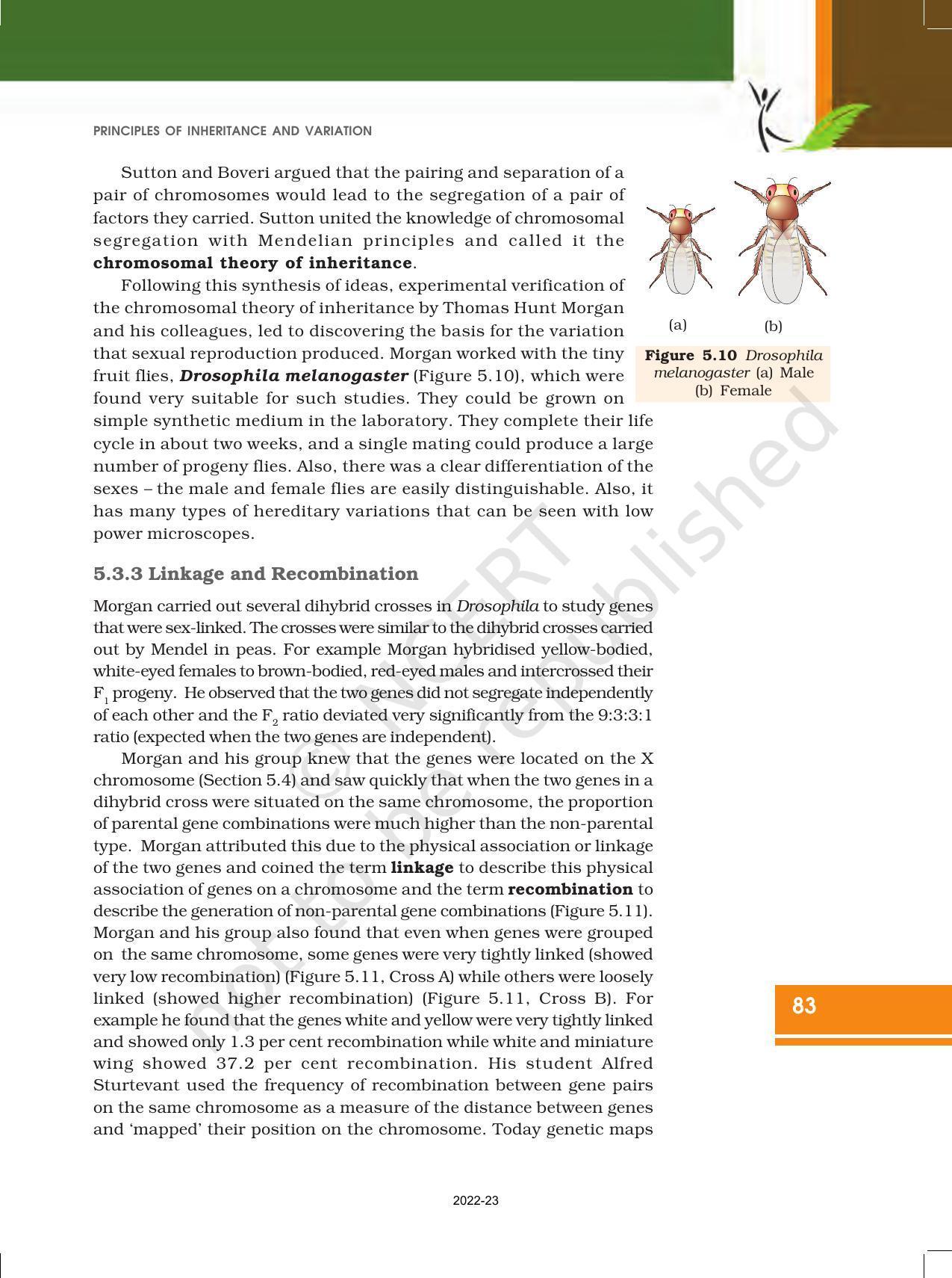 NCERT Book for Class 12 Biology Chapter 5 Principles of Inheritance and Variation - Page 17