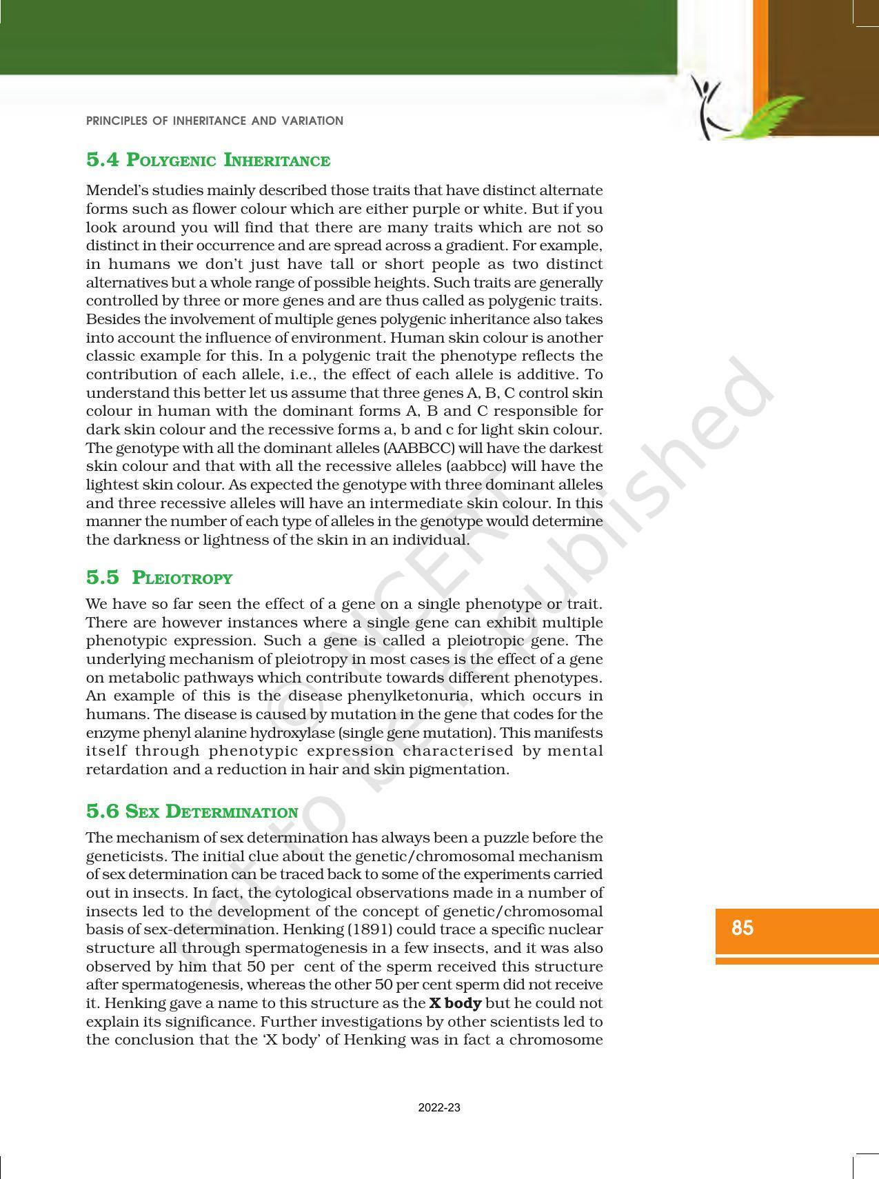 NCERT Book for Class 12 Biology Chapter 5 Principles of Inheritance and Variation - Page 19