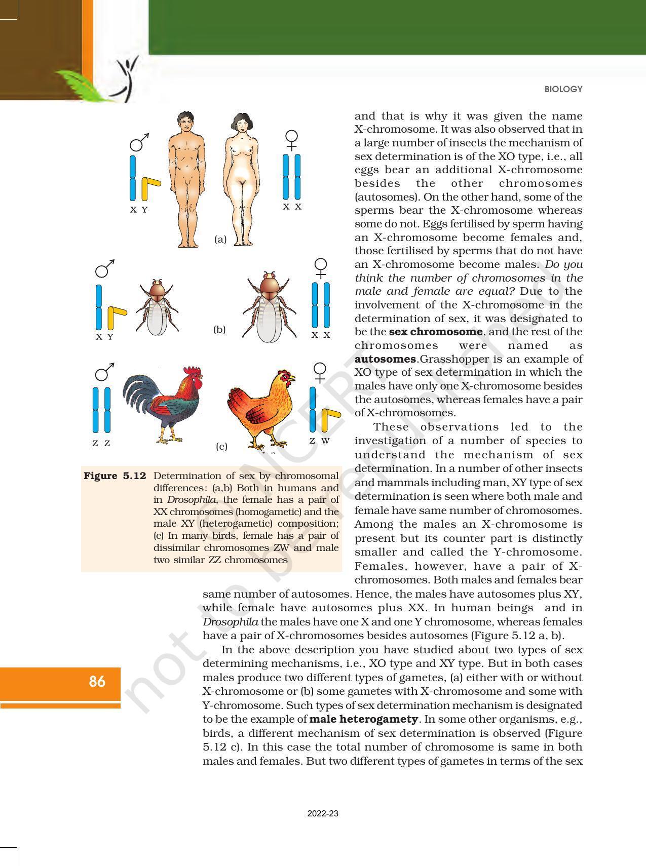 NCERT Book for Class 12 Biology Chapter 5 Principles of Inheritance and Variation - Page 20