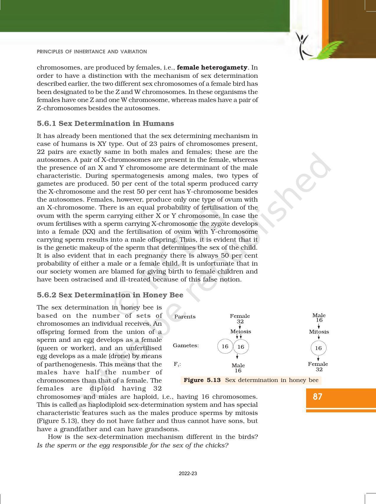 NCERT Book for Class 12 Biology Chapter 5 Principles of Inheritance and Variation - Page 21