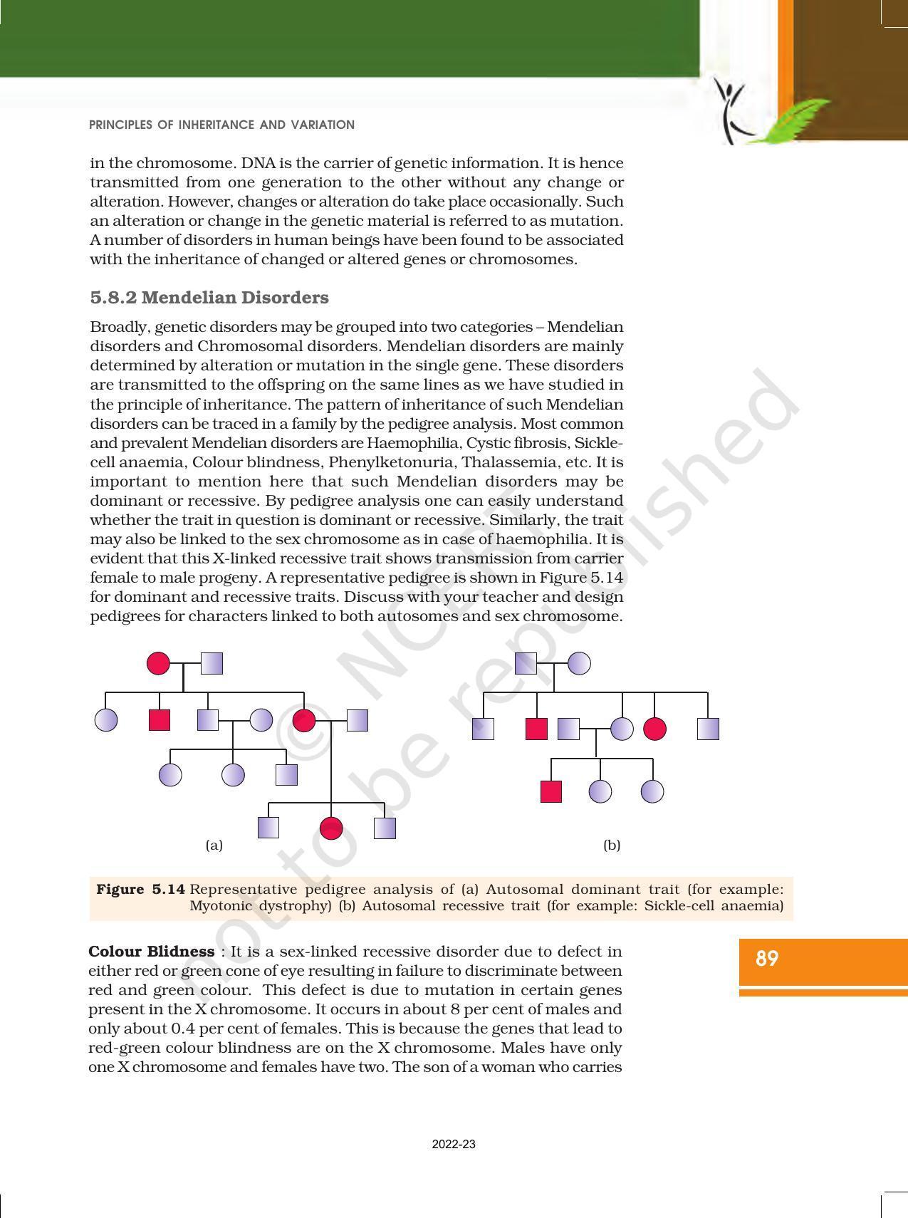 NCERT Book for Class 12 Biology Chapter 5 Principles of Inheritance and Variation - Page 23