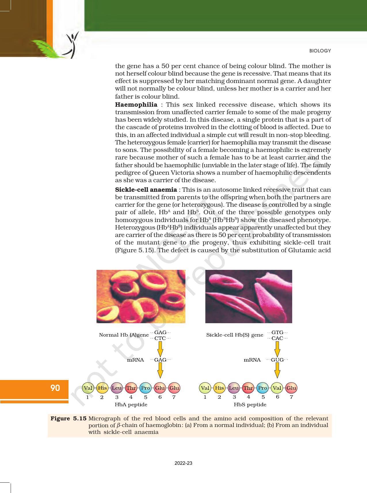 NCERT Book for Class 12 Biology Chapter 5 Principles of Inheritance and Variation - Page 24