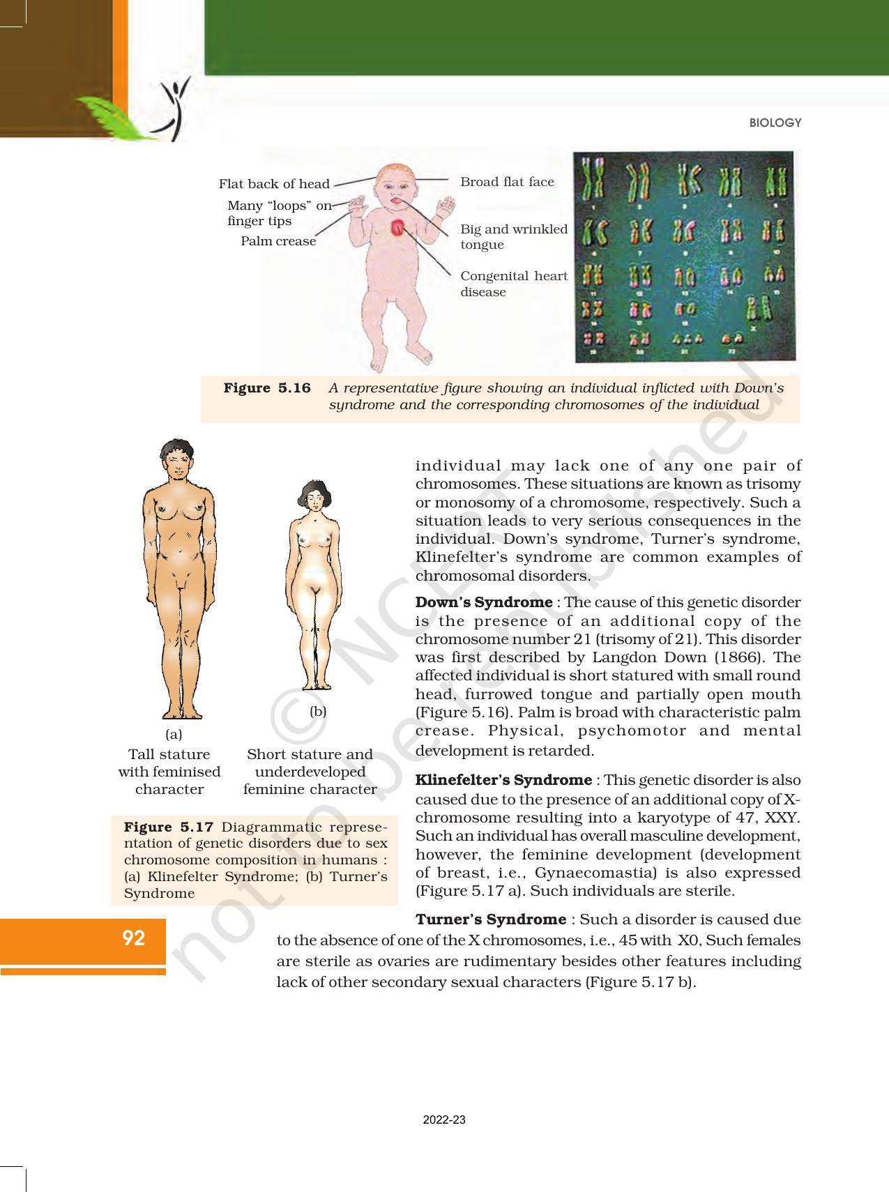 NCERT Book for Class 12 Biology Chapter 5 Principles of Inheritance and Variation - Page 26