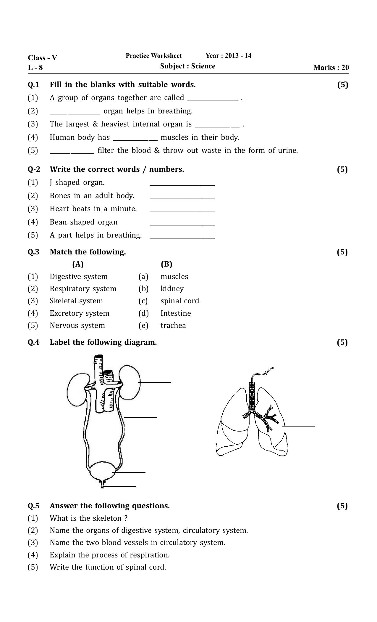 Worksheet for Class 5 Science Assignment 36 - Page 1