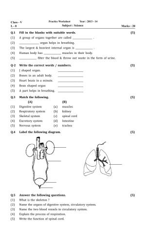 Worksheet for Class 5 Science Assignment 36