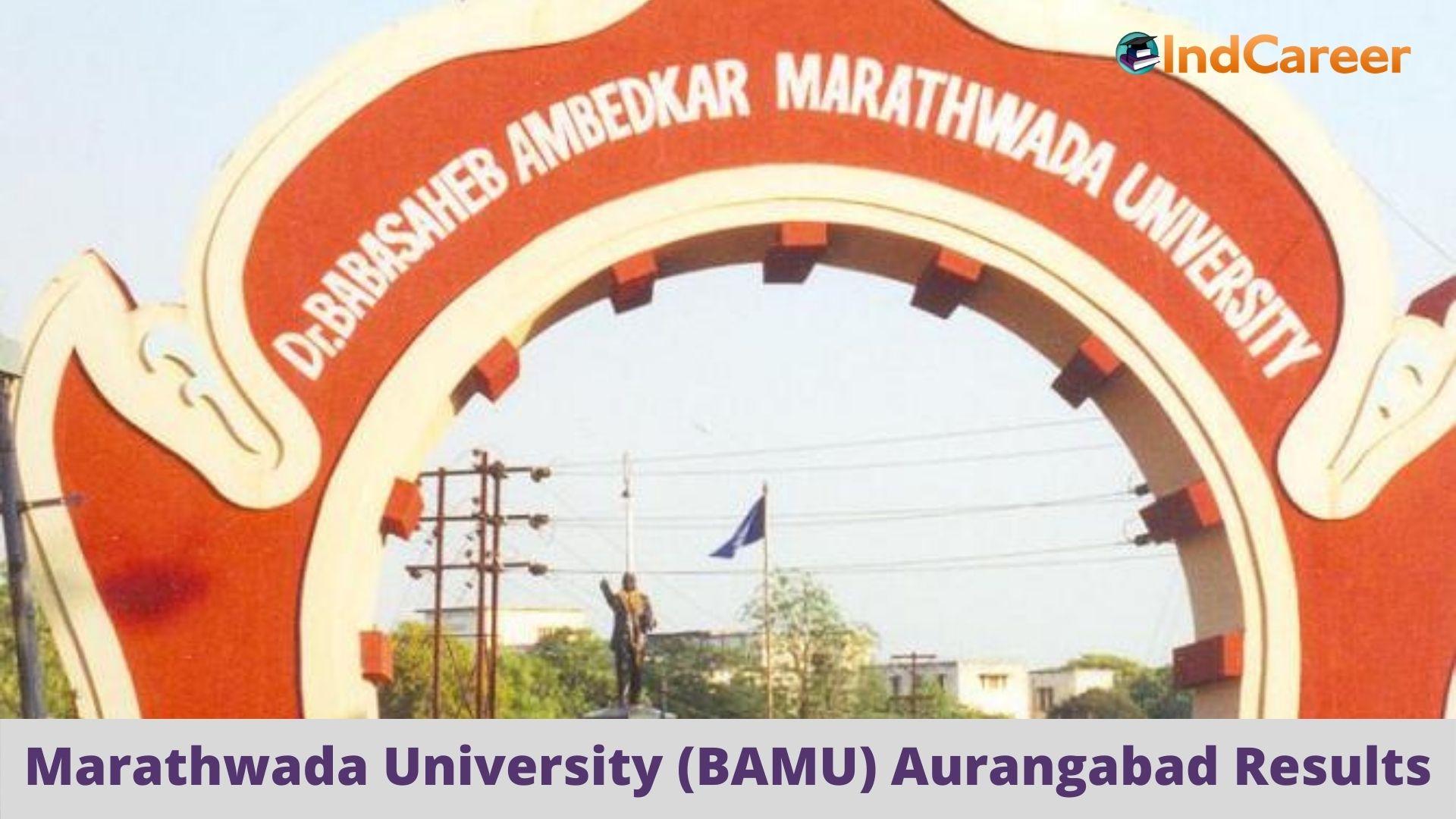 Dr Babasaheb Ambedkar Marathwada University (BAMU) Recruitment -  MySarkariNaukri En