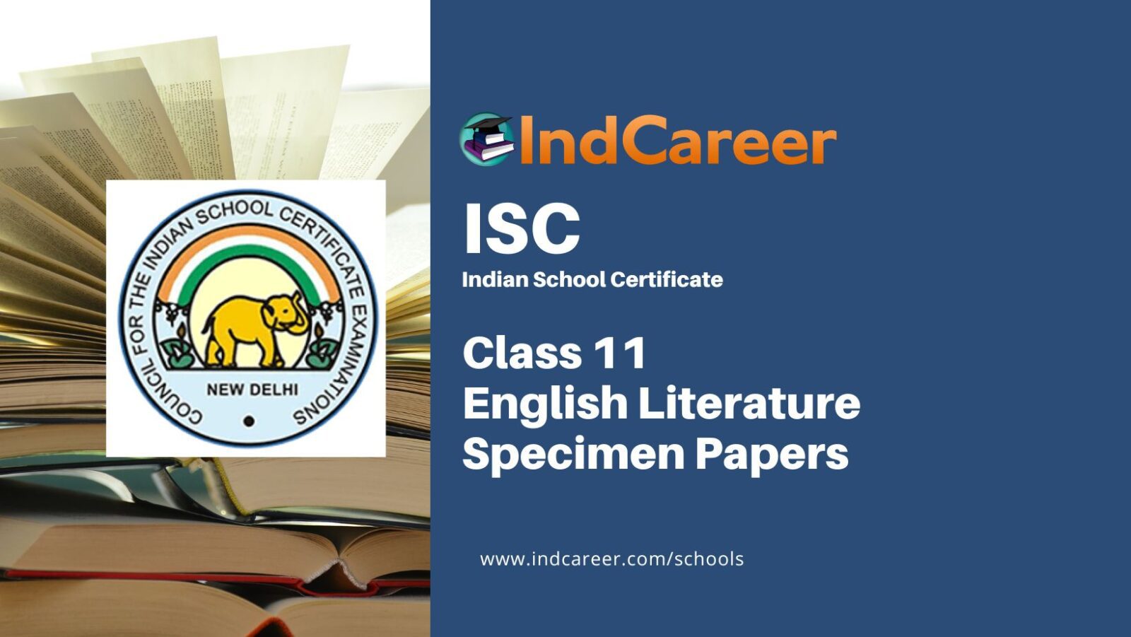 book review examples for class 11 isc