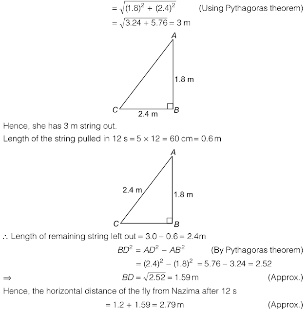 NCERT Solutions for Class 10th Mathematics: Chapter 6 - Triangles Ex. 6.6 Que. 10