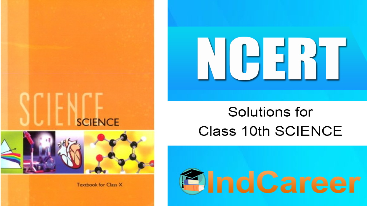 Complete NCERT Solutions For Class 10 Science | IndCareer Schools