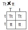 NCERT Solutions for 12th Class Biology: Chapter 5-Principle and Inheritance of variation Que.5