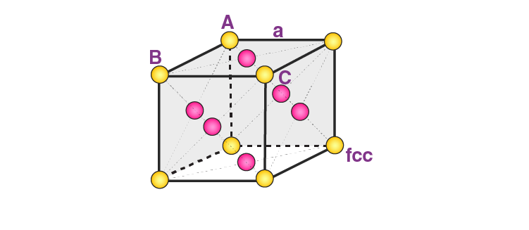 NCERT Solutions for 12th Class Chemistry: Chapter 1-The Solid State Que.8