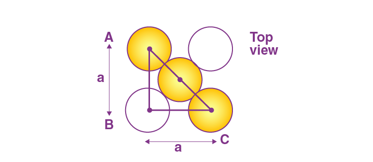 NCERT Solutions for 12th Class Chemistry: Chapter 1-The Solid State Que.8