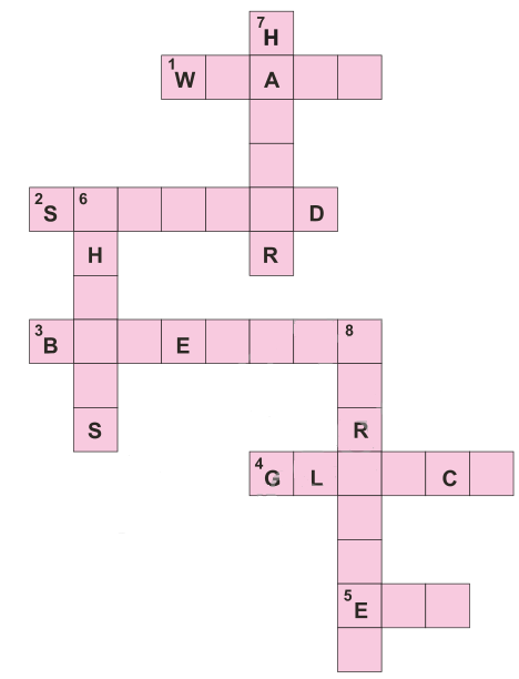 NCERT Solutions for 6th Class English: Chapter 1-Who Did Patrick's Homework