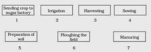 Question No 10 Question No 10