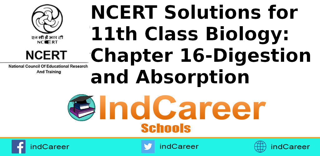 NCERT Solutions For Class 11, Biology Chapter 16 - IndCareer Schools