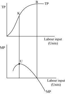 NCERT Solutions for 12th Class Economics (Microeconomics): Chapter 3-Production And Costs Que.5