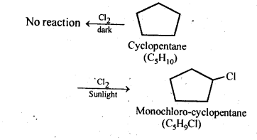 NCERT Solutions for 12th Class Chemistry: Chapter 10-Haloalkanes and Haloarenes Ex.10.5