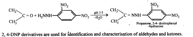 NCERT Solutions for 12th Class Chemistry: Chapter 12-Aldehydes Ketones and Carboxylic Acids Ex. 12.1