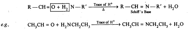 NCERT Solutions for 12th Class Chemistry: Chapter 12-Aldehydes Ketones and Carboxylic Acids Ex. 12.1