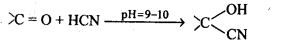 NCERT Solutions for 12th Class Chemistry: Chapter 12-Aldehydes Ketones and Carboxylic Acids Ex. 12.1