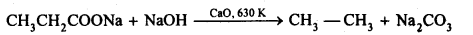 NCERT Solutions for 12th Class Chemistry: Chapter 12-Aldehydes Ketones and Carboxylic Acids Ex. 12.16