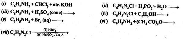 NCERT Solutions for 12th Class Chemistry:Chapter 13-Amines Ex. 13.11