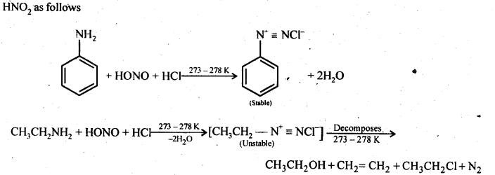 NCERT Solutions for 12th Class Chemistry:Chapter 13-Amines Ex. 13.13