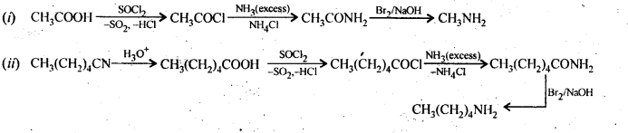 NCERT Solutions for 12th Class Chemistry:Chapter 13-Amines Ex. 13.5